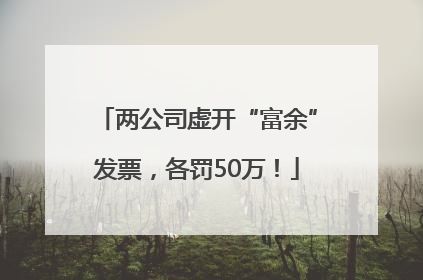 两公司虚开“富余”发票，各罚50万！