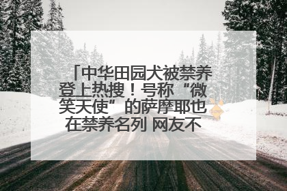 中华田园犬被禁养登上热搜！号称“微笑天使”的萨摩耶也在禁养名列 网友不解西安多部门回应