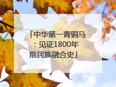 中华第一青铜马：见证1800年前民族融合史