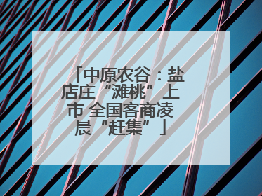 中原农谷：盐店庄“滩桃”上市 全国客商凌晨“赶集”