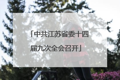 中共江苏省委十四届九次全会召开