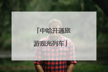 中哈开通旅游观光列车