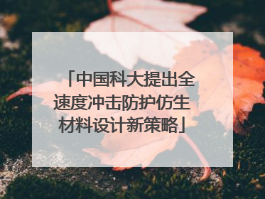 中国科大提出全速度冲击防护仿生材料设计新策略