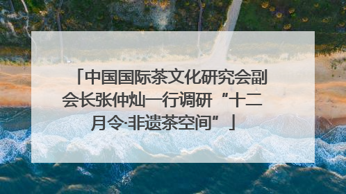 中国国际茶文化研究会副会长张仲灿一行调研“十二月令·非遗茶空间”