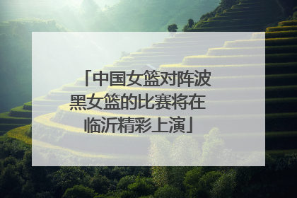 中国女篮对阵波黑女篮的比赛将在临沂精彩上演