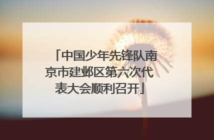 中国少年先锋队南京市建邺区第六次代表大会顺利召开