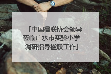 中国楹联协会领导莅临广水市实验小学调研指导楹联工作