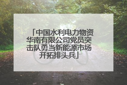 中国水利电力物资华南有限公司党员突击队勇当新能源市场开拓排头兵