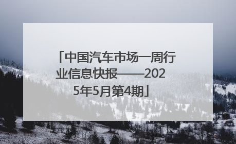 中国汽车市场一周行业信息快报——2025年5月第4期