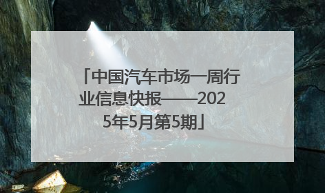 中国汽车市场一周行业信息快报——2025年5月第5期
