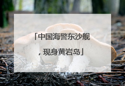 中国海警东沙舰，现身黄岩岛