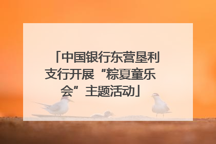 中国银行东营垦利支行开展“粽夏童乐会”主题活动
