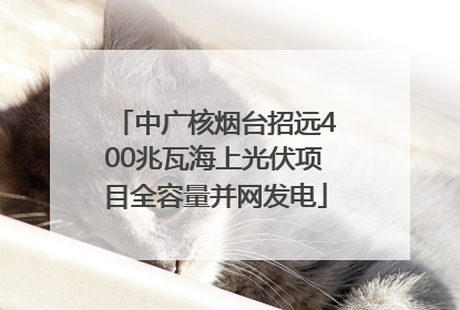 中广核烟台招远400兆瓦海上光伏项目全容量并网发电