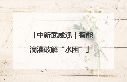 中新武威观｜智能滴灌破解“水困”