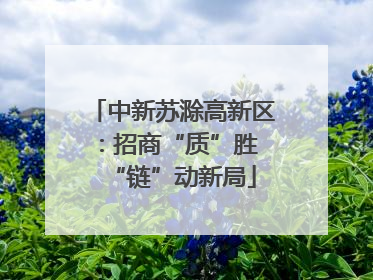中新苏滁高新区：招商“质”胜 “链”动新局