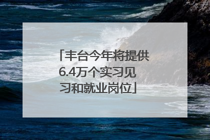 丰台今年将提供6.4万个实习见习和就业岗位