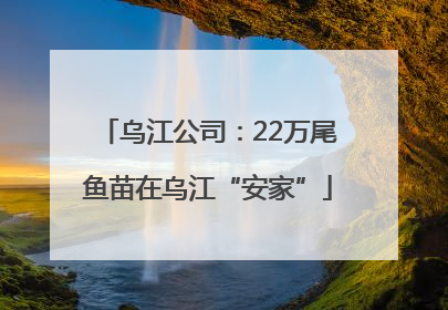 乌江公司：22万尾鱼苗在乌江“安家”