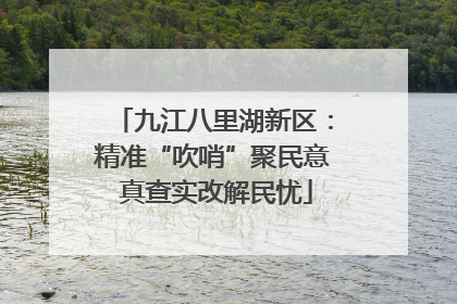 九江八里湖新区：精准“吹哨”聚民意 真查实改解民忧