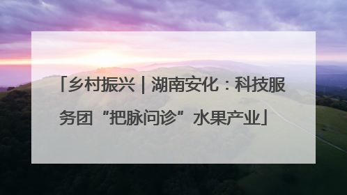 乡村振兴｜湖南安化：科技服务团“把脉问诊”水果产业