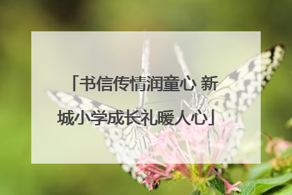 书信传情润童心 新城小学成长礼暖人心