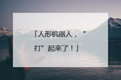 人形机器人，“打”起来了！