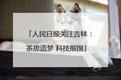 人民日报关注吉林：茶思造梦 科技报国