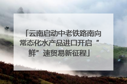 云南启动中老铁路南向常态化水产品进口开启“鲜”速贸易新征程