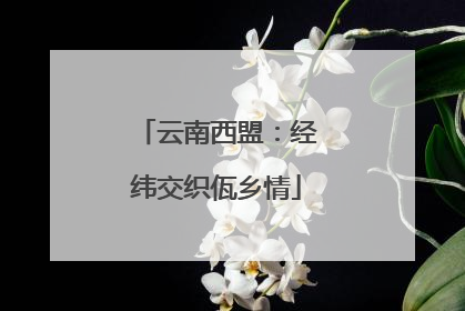 云南西盟：经纬交织佤乡情