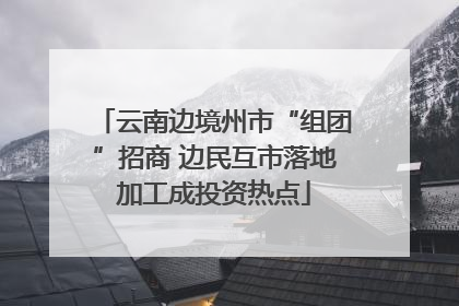 云南边境州市“组团”招商 边民互市落地加工成投资热点