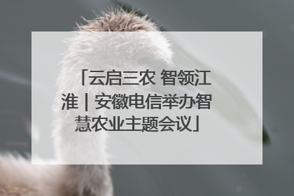 云启三农 智领江淮｜安徽电信举办智慧农业主题会议