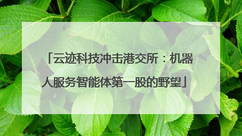 云迹科技冲击港交所：机器人服务智能体第一股的野望