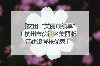交出“美丽成绩单”！杭州市滨江区美丽浙江建设考核优秀