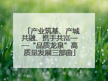 产业筑基、产城共融、携手共富——“品质龙泉”高质量发展三部曲