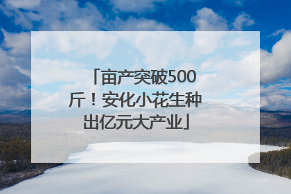 亩产突破500斤！安化小花生种出亿元大产业
