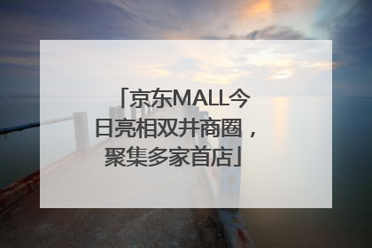 京东MALL今日亮相双井商圈，聚集多家首店