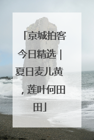 京城拍客今日精选｜夏日麦儿黄，莲叶何田田