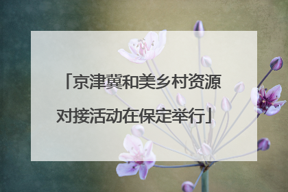 京津冀和美乡村资源对接活动在保定举行