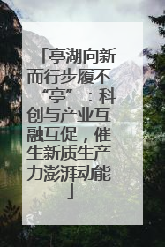 亭湖向新而行步履不“亭”：科创与产业互融互促，催生新质生产力澎湃动能