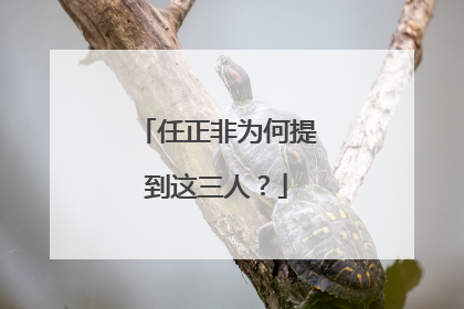 任正非为何提到这三人？