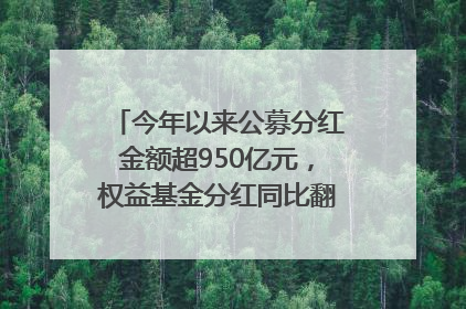 今年以来公募分红金额超950亿元，权益基金分红同比翻倍｜招财猫