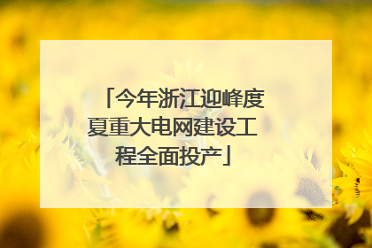 今年浙江迎峰度夏重大电网建设工程全面投产