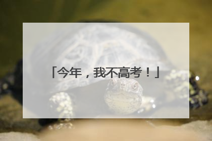 今年，我不高考！