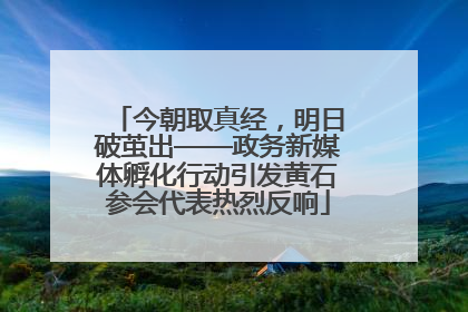 今朝取真经，明日破茧出——政务新媒体孵化行动引发黄石参会代表热烈反响