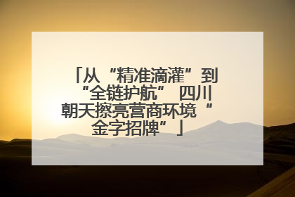 从“精准滴灌”到“全链护航” 四川朝天擦亮营商环境“金字招牌”