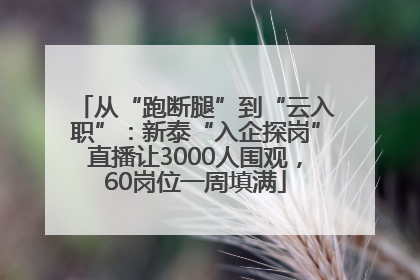 从“跑断腿”到“云入职”：新泰“入企探岗”直播让3000人围观，60岗位一周填满