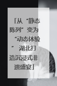 从“静态陈列”变为“动态体验” 湖北打造沉浸式非遗盛宴