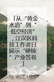 从“黄金水道”到“低空经济”，江汉区科技工作者日展示“硬核”产业答卷