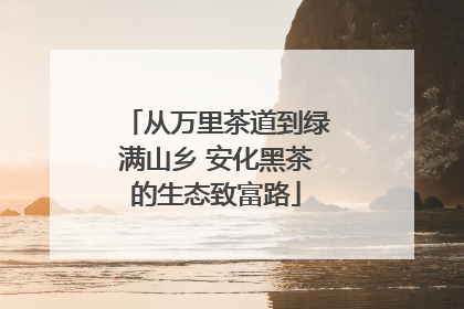 从万里茶道到绿满山乡 安化黑茶的生态致富路