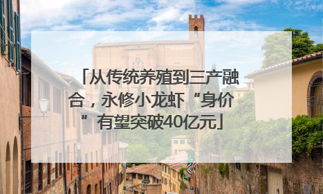 从传统养殖到三产融合，永修小龙虾“身价”有望突破40亿元