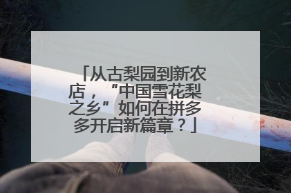 从古梨园到新农店，“中国雪花梨之乡”如何在拼多多开启新篇章？